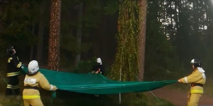 «Чувствует себя хорошо». На Валааме пожарные спасли дрон