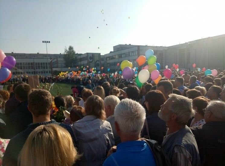 Куда улетают воздушные шарики? Петрозаводский общественник объяснил, почему выпуск шаров это экологический вандализм