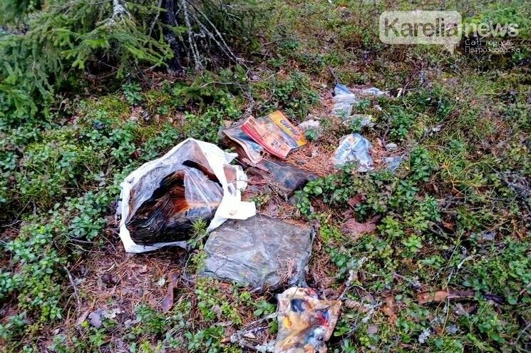В месте массовых расстрелов Красный бор в Карелии появилась куча мусора