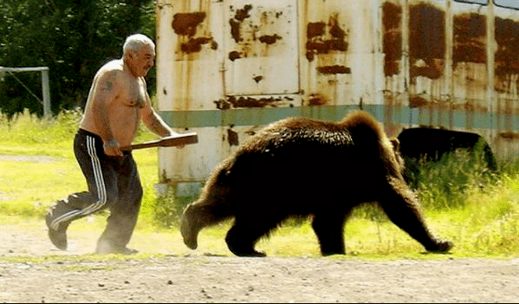 Жители Карелии изобретают самодельные средства защиты от медведей