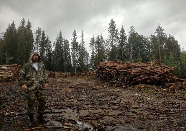 Артур Парфенчиков ответил на обвинения в тотальных вырубках в Карелии