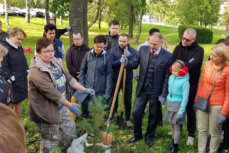 70 деревьев высадили сегодня у собора Александра Невского