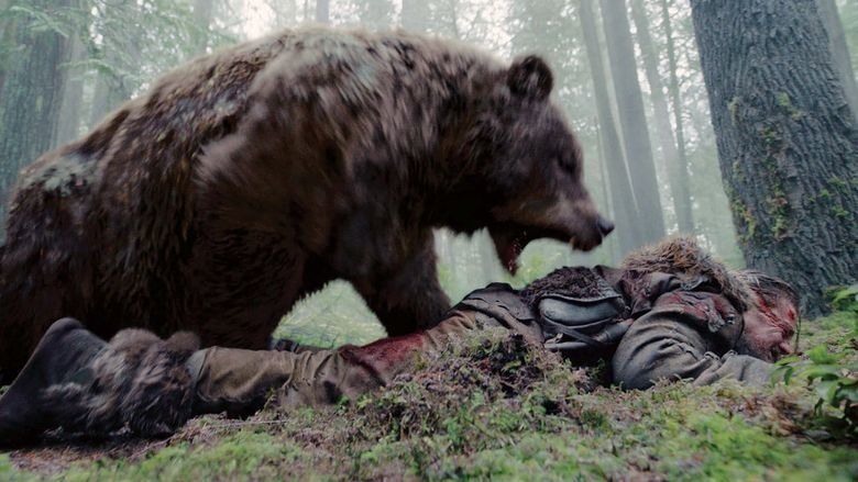 Рюкзак спас. Медведь в Карелии напал на человека. Подробности происшествия