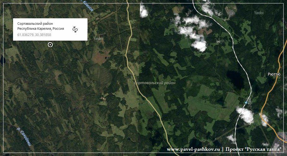 Карта Леса Фото