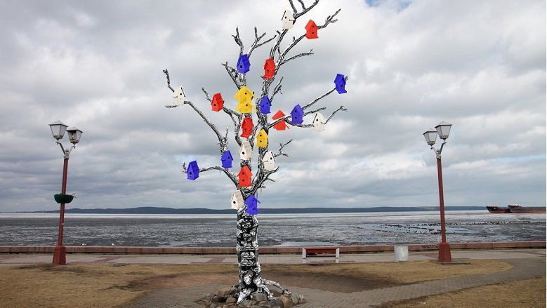 Не только подсветка. Петрозаводская скульптура «Дерево желаний» обретет новый облик