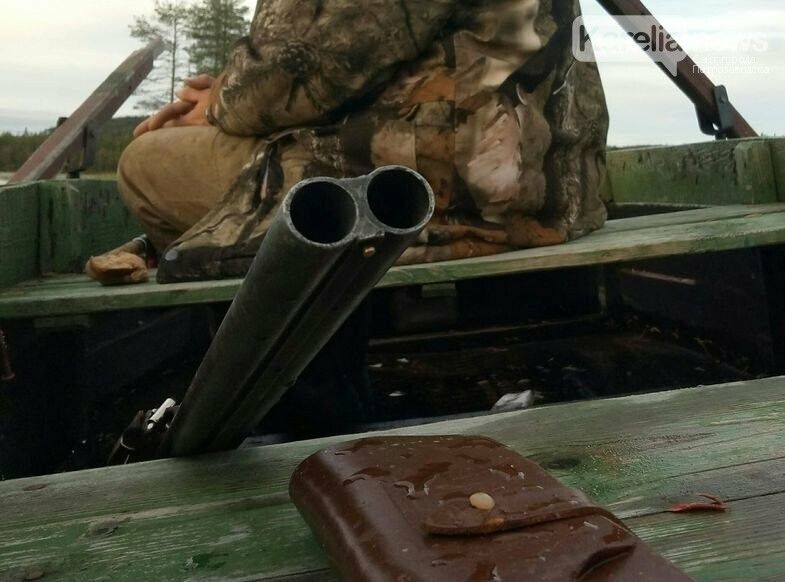 Росгвардия просит сообщать им, если вы везете куда-то свое оружие