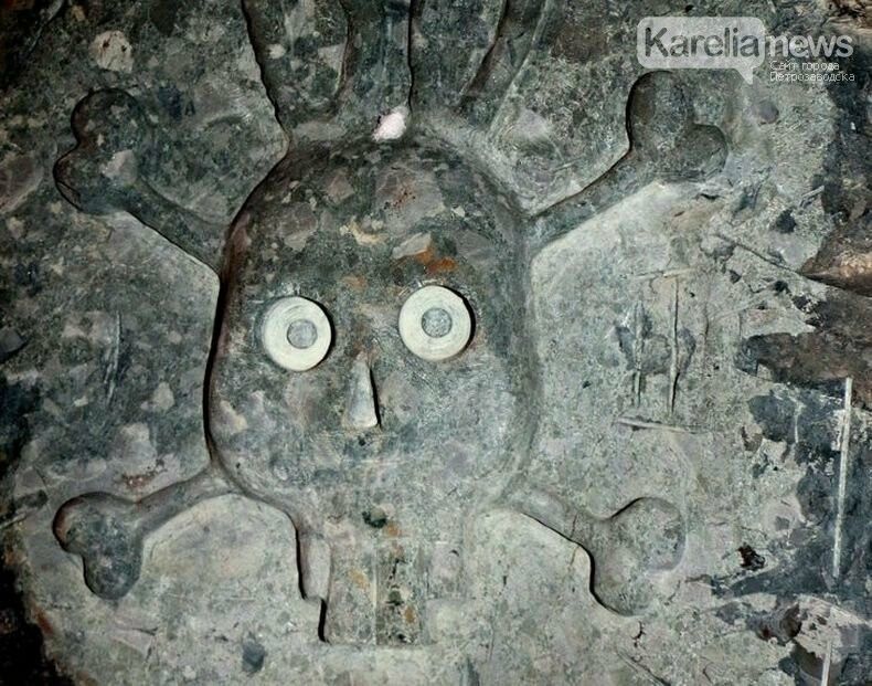 В самый жуткий час… Петрозаводчанка сняла долину зайцев ночью