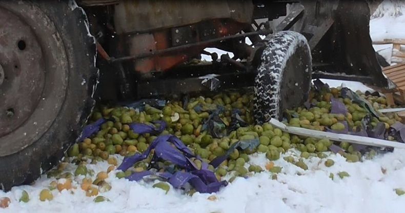 Россельхознадзор рассказал, сколько качественных продуктов пустил под трактор в 2018 году