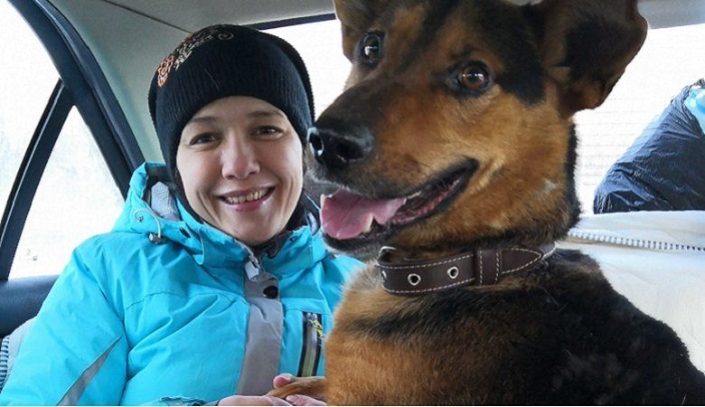 “Отлов пуст”. Ушедший Год Собаки принес позитивные итоги в работе петрозаводских зоозащитников