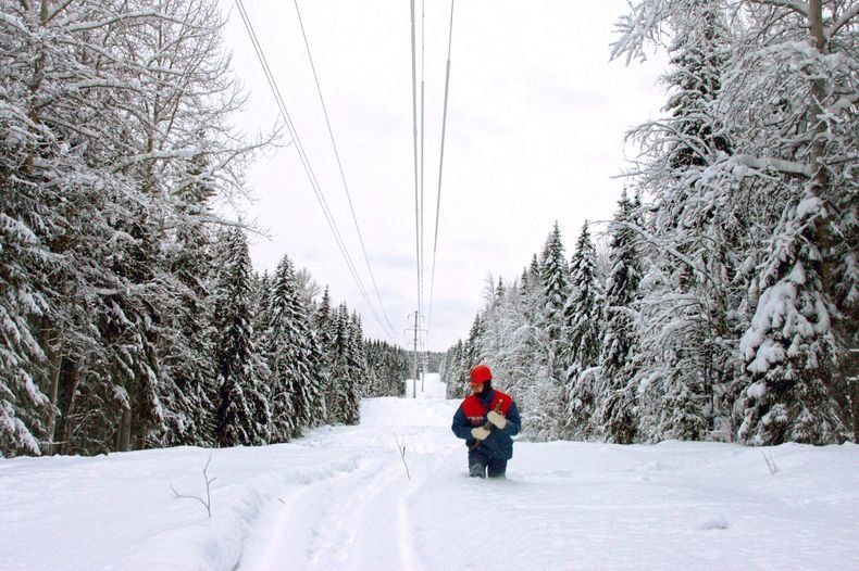 Поселки без света и помощь из Пскова и Новгорода. Последствия циклона «Дональд» в Карелии