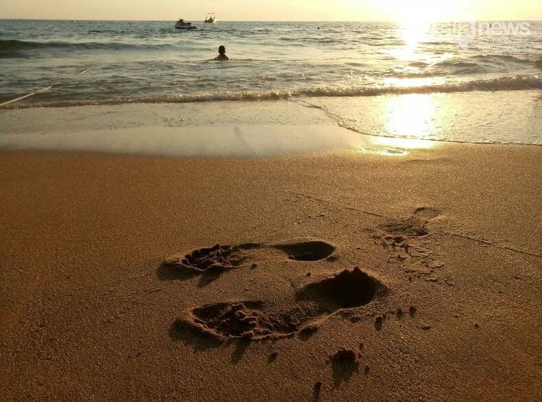 «Медовый месяц» отменяется. Сразу два руководителя турагентств Карелии обманывали клиентов