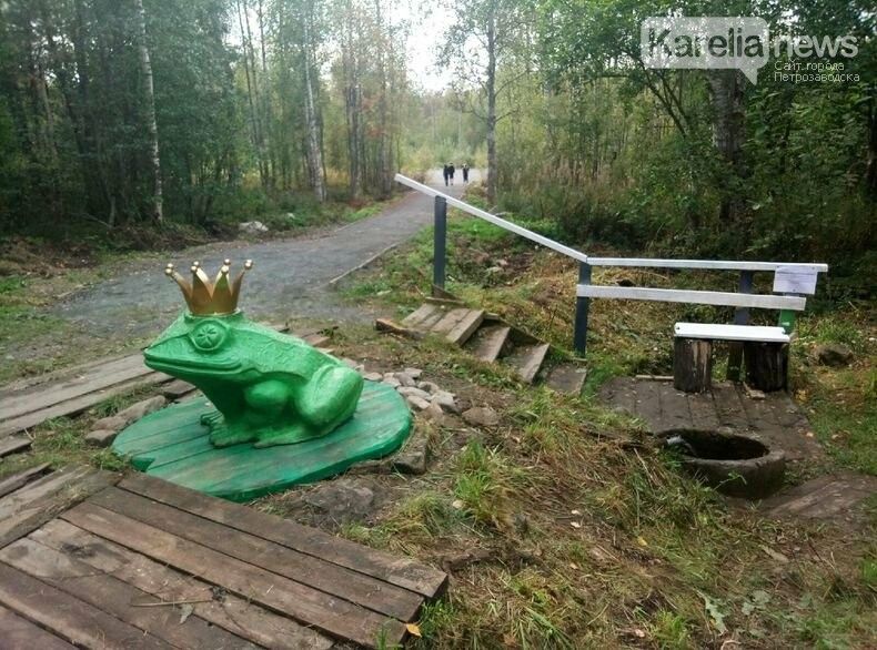 Горожане обеспокоены, что новую коррекционную школу хотят построить рядом с парком «Лягушка»