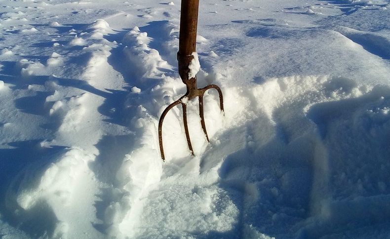 Немитинг. Жители Питкяранты завтра устроят хоровод с вилами вокруг администрации