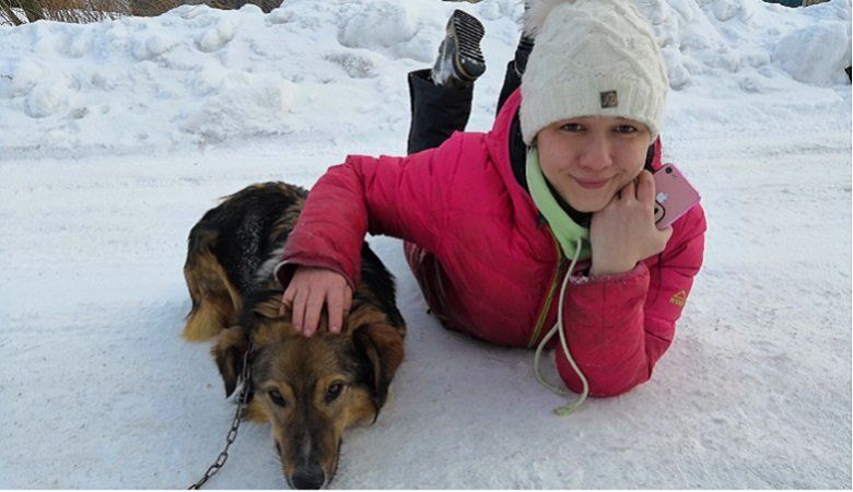 Петрозаводская зоозащитница спасла собак-смертников за тысячу километров от своего дома