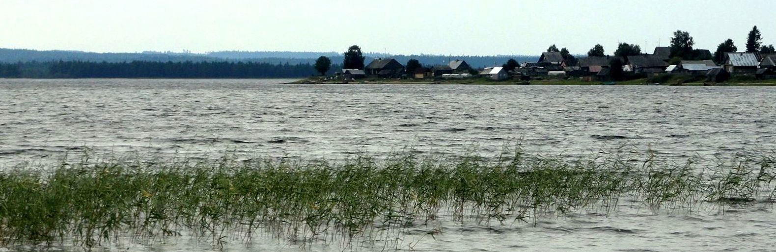 Три правды про золотую рыбку. Как карелы против форелеводов восстали. Часть 1. Журналистское расследование Три правды про золотую рыбку. Как карелы против форелеводов восстали. Часть 1. Журналистское расследование