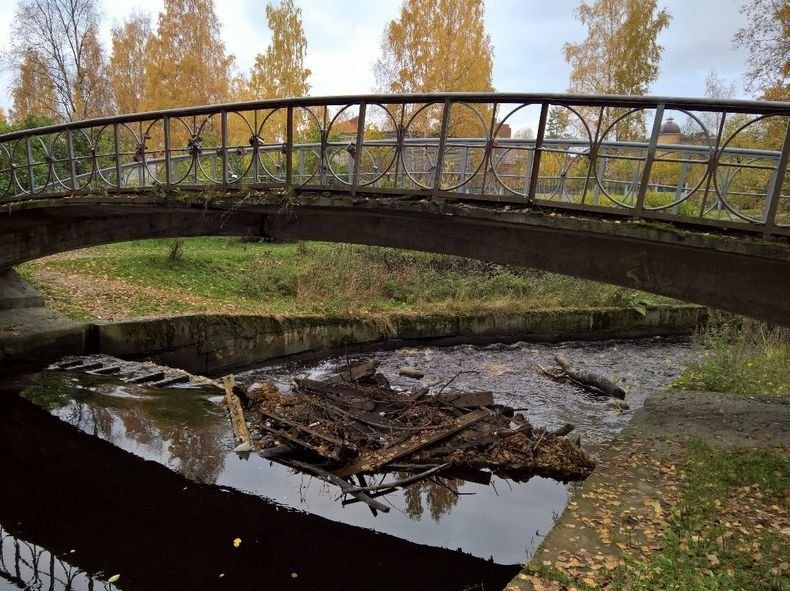 Неглинку почистят к 100-летию. Стоимость только проекта перевалила за миллион