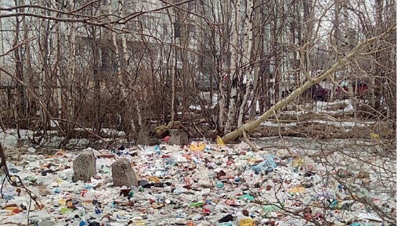 Жители дома в Беломорске погрязли в грязи из-за мусорной свалки