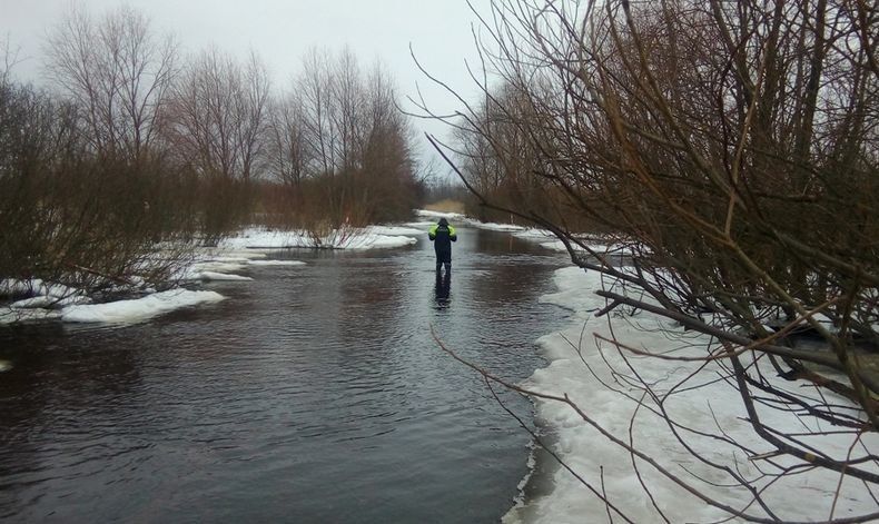 Более 200 метров дороги «Поросозеро-Муезерский» затопило