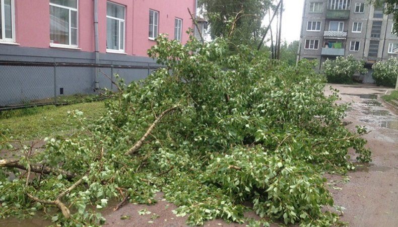 Шквалистый ветер и гроза оставили город в Карелии без электричества