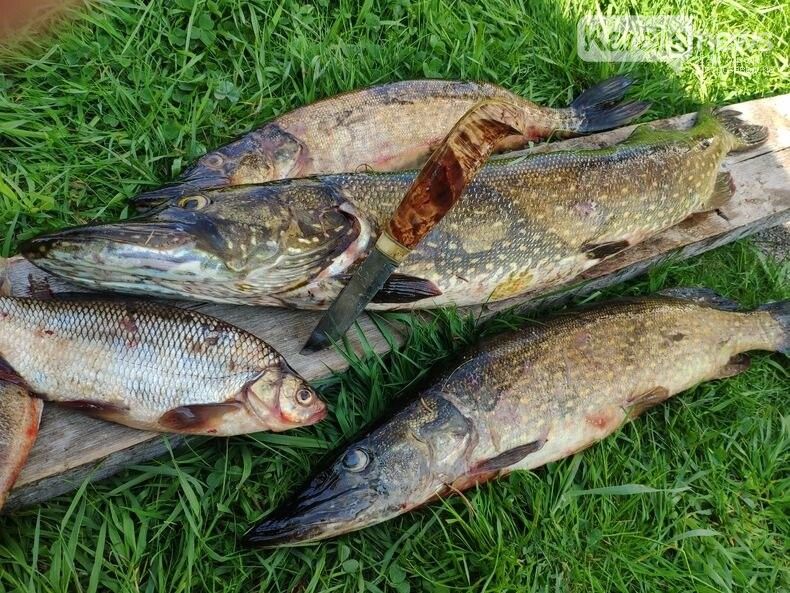 Карельские рыбаки просят Путина разрешить им рыбачить в июне