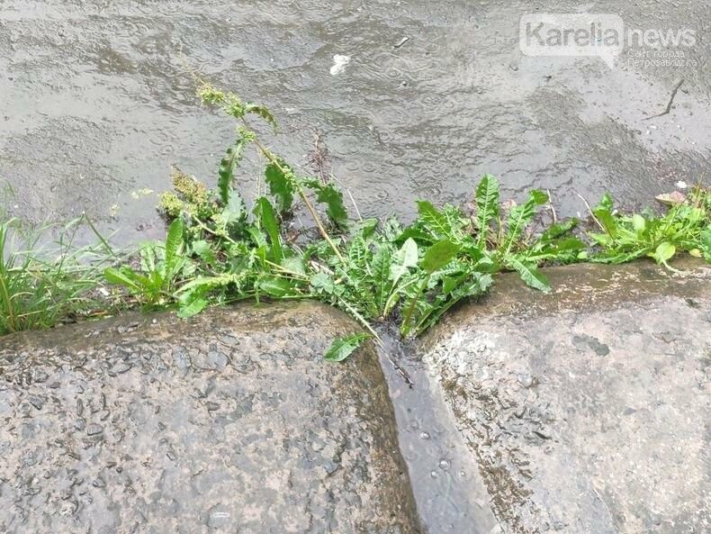 Короткое и малоснежное... Прогноз погоды на вторник