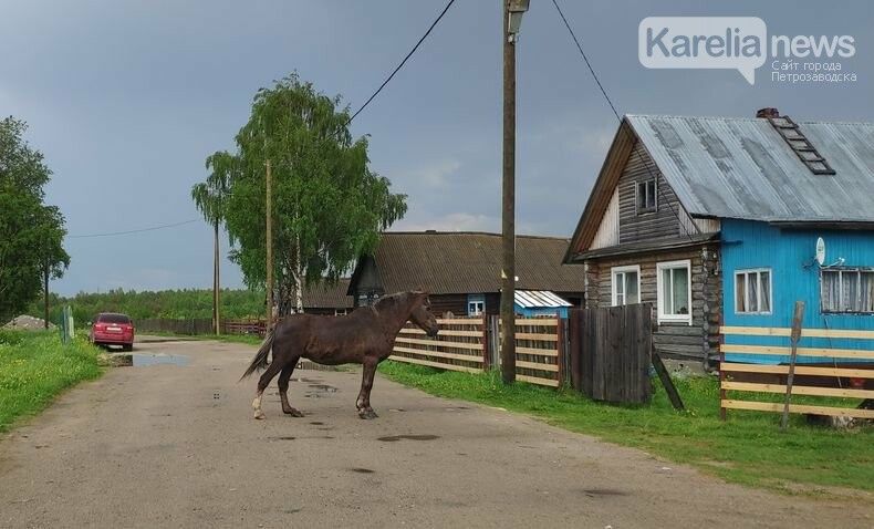 В карельских деревнях и селах появятся старосты