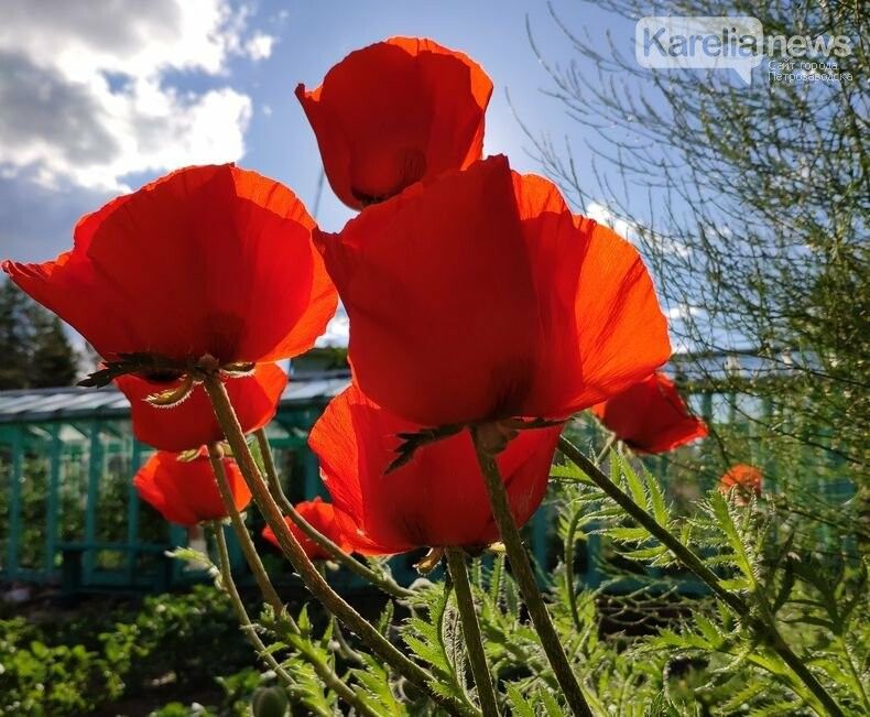 Ближе к лету. Прогноз погоды на вторник