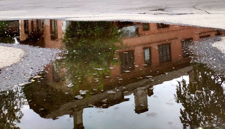 «Рико», хватит поливать, достал! Прогноз погоды на пятницу