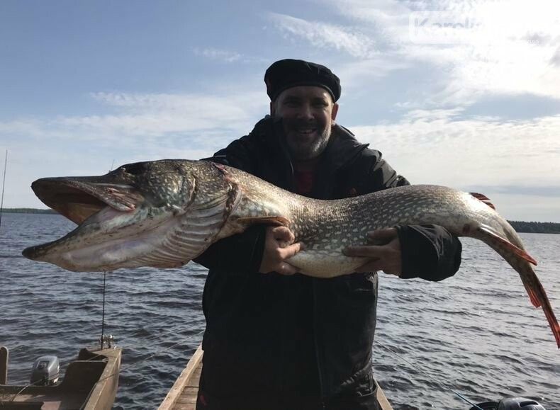 Известный карельский адвокат поймал огромную щуку