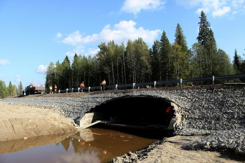 Два новых моста построили в Карелии. Всего до 2020 года в республике возведут семь переправ