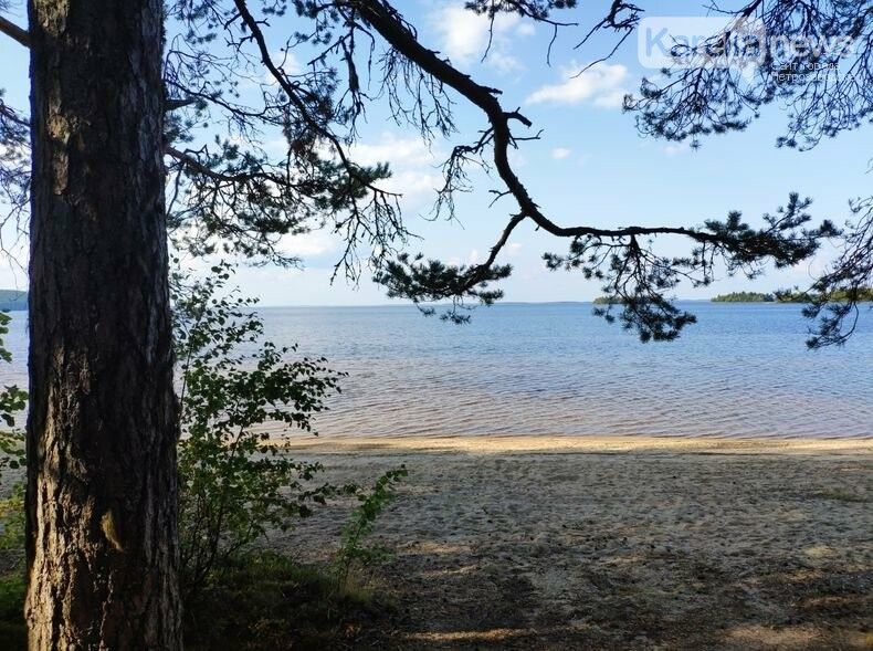 Лето, ты все же есть? Прогноз погоды на воскресенье и начало недели