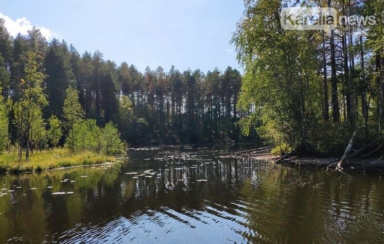 Последний вздох лета. Прогноз погоды на среду и далее
