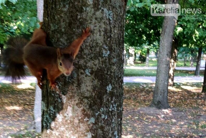11 сентября зафиксирован погодный рекорд. Прогноз погоды на пятницу,13-е