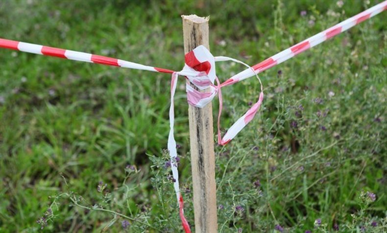 Многодетные семьи Карелии могут быть освобождены и от земельного налога