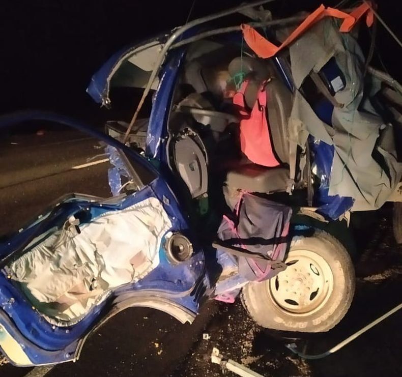 Лось стал причиной смертельной аварии в Кондопожском районе