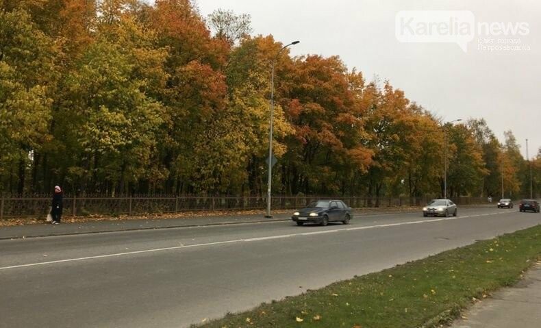 Прогноз на 1 октября: «колесом дорога!» и девичьи посиделки