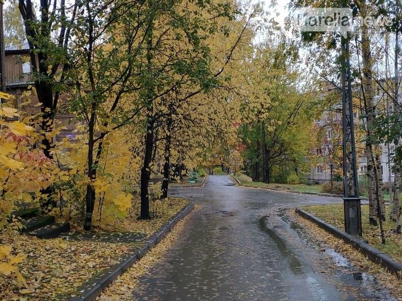 Лыжи пока не достаем. Прогноз погоды на воскресенье