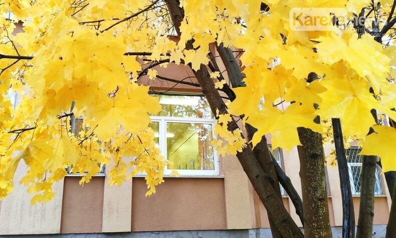 Ветер северный. Прогноз погоды на понедельник