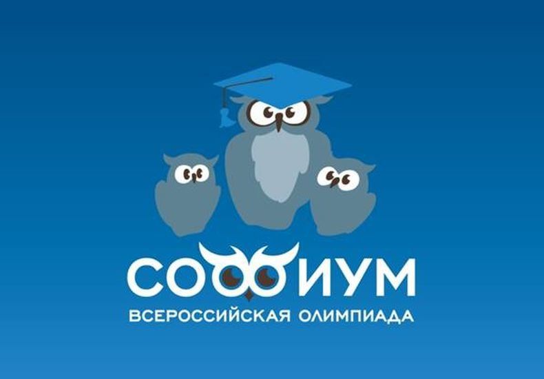 В России и Карелии проведут Олимпиаду для школьников по избирательному праву