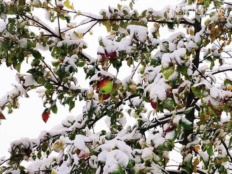 Местами до минус 14. Прогноз погоды на 29 октября