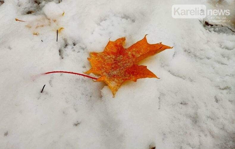 Мокрый, но не дождь. Прогноз погоды на 1 ноября