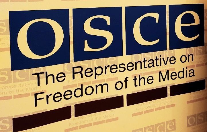 «Говорят о вещах, которые на деле не действуют». Карельские журналисты приняли участие в конференции ОБСЕ