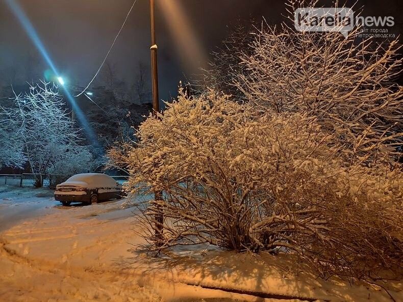 Вам со снегом или без? Прогноз погоды в Карелии на 12 декабря