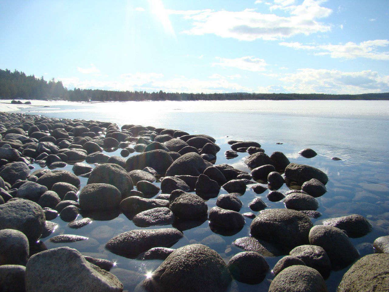 2608488-26_1.jpg