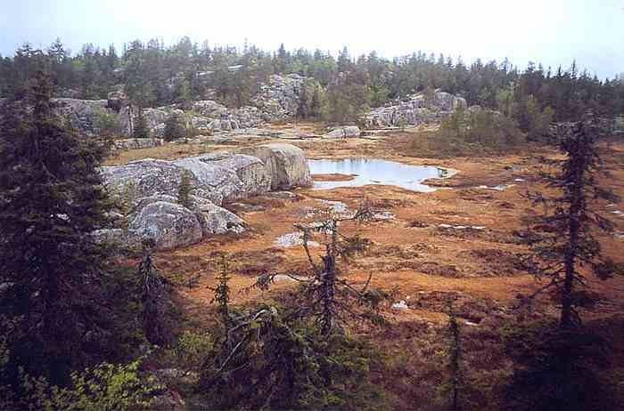 2608490-34_0.jpg