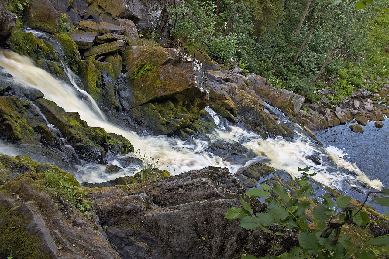2608490-36_0.jpg