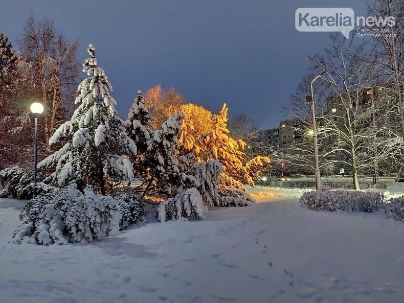 Ветер северный. Прогноз погоды на последний день года