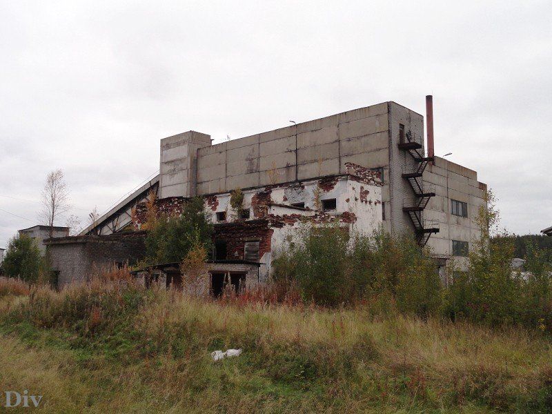 2620630-50_1.jpg