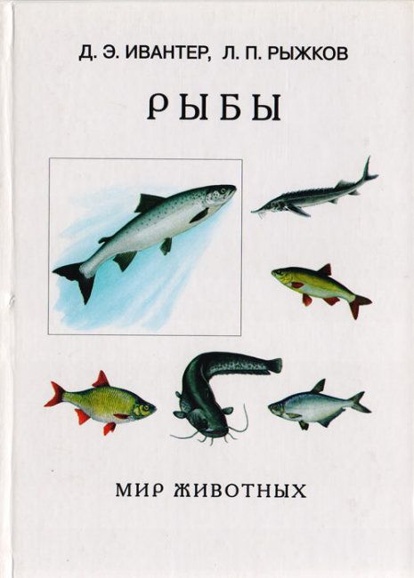 2620634-41_1.jpg