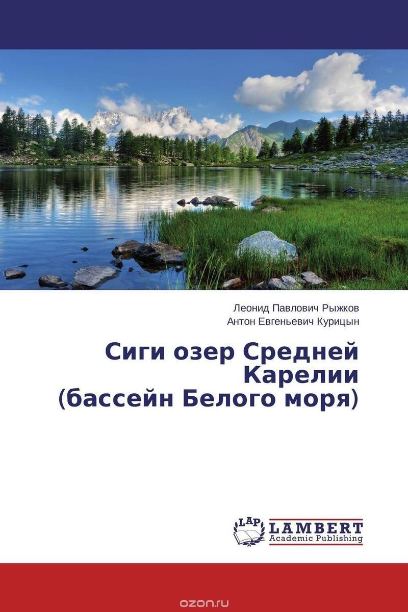 2620634-41_2.jpeg